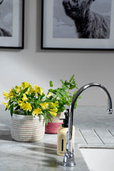 Modern kitchen sink area with a faucet, potted plants, and framed pictures on the wall.